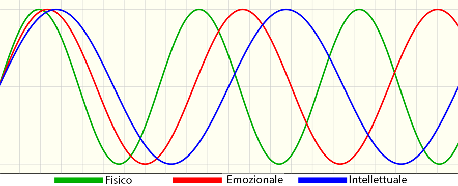 3-bioritmi
