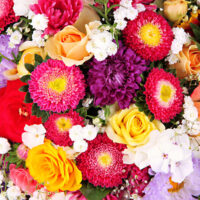 luna-dei-fiori