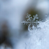 luna-della-neve