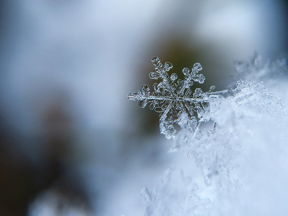 luna-della-neve