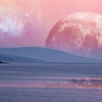 luna-rosa